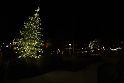 DSC_0018 (Large).JPG